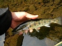2007-05-10 020.JPG